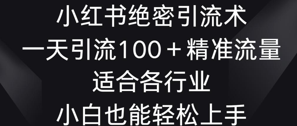 小红书绝密引流术，一天引流100+精准流量，适合各个行业，小白也能轻松上手【揭秘】-星火轻创