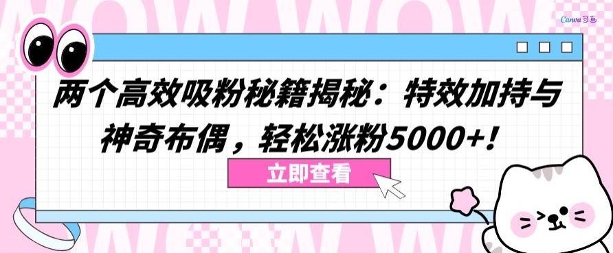 两个高效吸粉秘籍揭秘：特效加持与神奇布偶，轻松涨粉5000+【揭秘】-星火轻创
