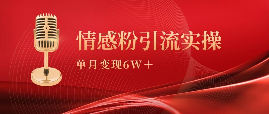 (9473期)单月变现6w+，情感粉引流变现实操课-星火轻创