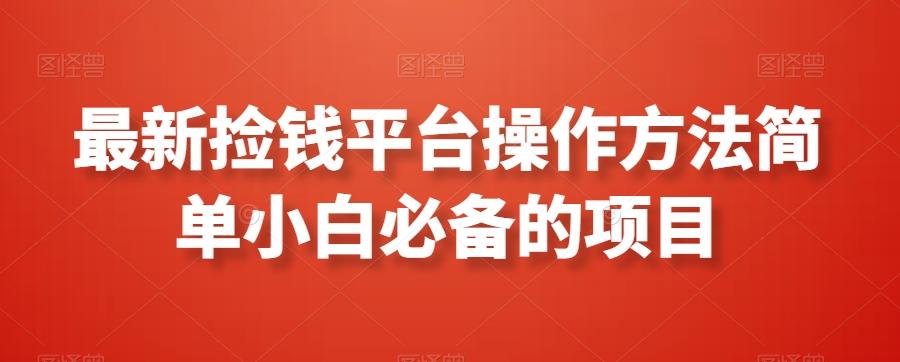 最新捡钱平台操作方法简单小白必备的项目-星火轻创