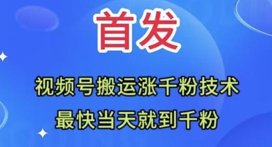 全网首发：视频号无脑搬运涨千粉技术，最快当天到千粉【揭秘】-星火轻创