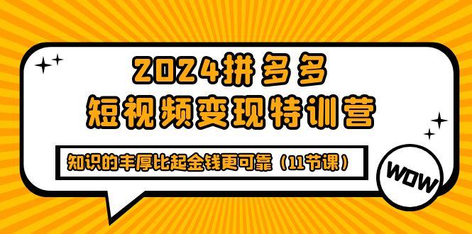 (9817期)2024拼多多短视频变现特训营，知识的丰厚比起金钱更可靠(11节课)-星火轻创