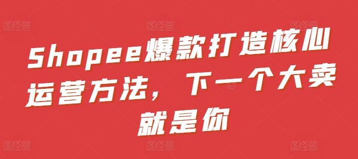 Shopee爆款打造核心运营方法，下一个大卖就是你-星火轻创