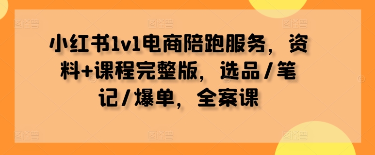 小红书1v1电商陪跑服务，资料+课程完整版，选品/笔记/爆单，全案课-星火轻创