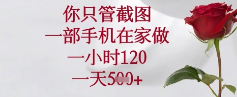 你只管截图，一部手机在家可以做，一小时120.一天5张+【揭秘】-星火轻创