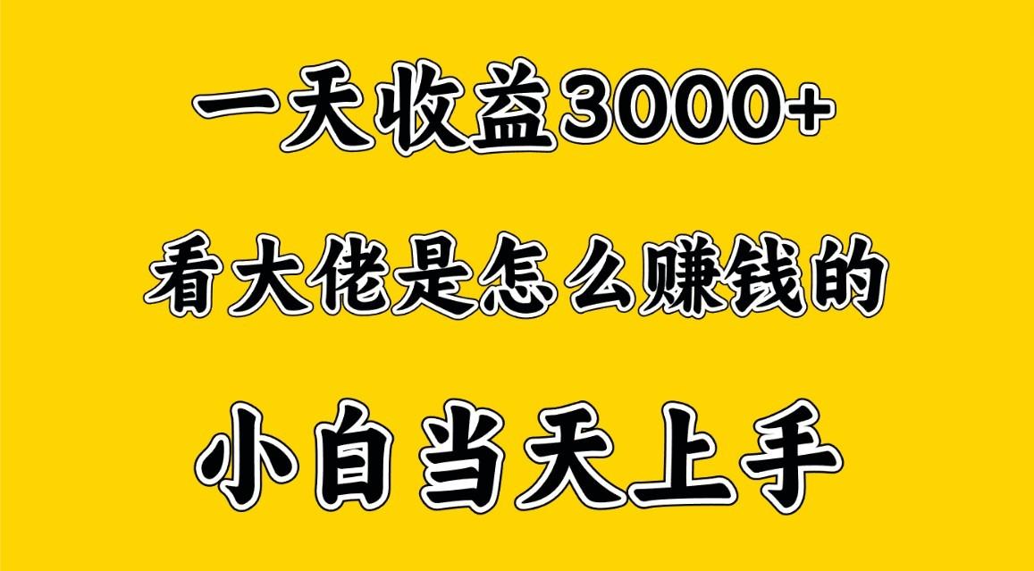 一天赚3000多，大佬是这样赚到钱的，小白当天上手，穷人翻身项目-星火轻创