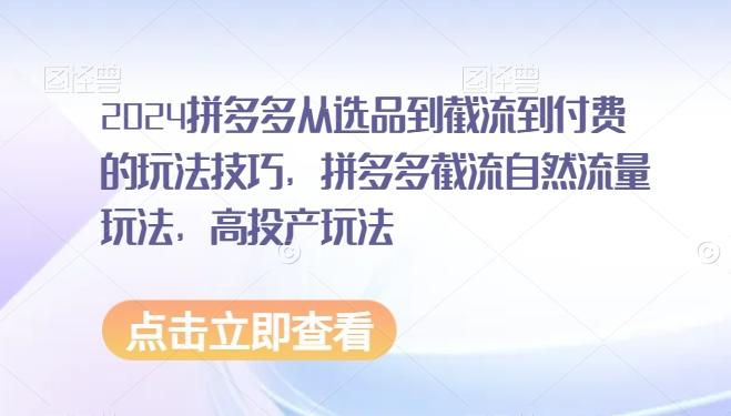 2024拼多多从选品到截流到付费的玩法技巧，拼多多截流自然流量玩法，高投产玩法-星火轻创