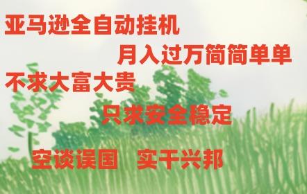 亚马逊全自动浏览挂机，，收益稳定且前景广阔-星火轻创