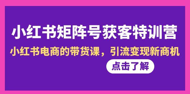 小红书-矩阵号获客特训营-第10期，小红书电商的带货课，引流变现新商机-星火轻创