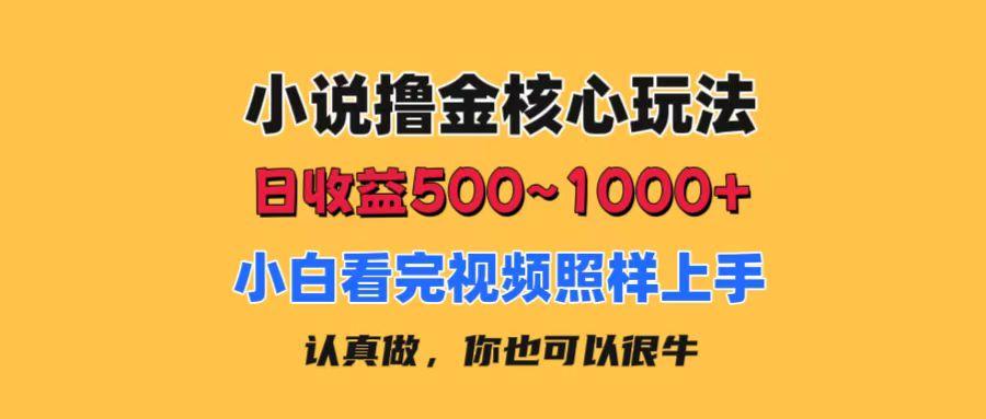 小说撸金核心玩法，日收益500-1000+，小白看完照样上手，0成本有手就行-星火轻创