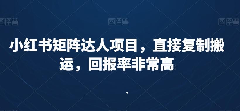 小红书矩阵达人项目，直接复制搬运，回报率非常高-星火轻创