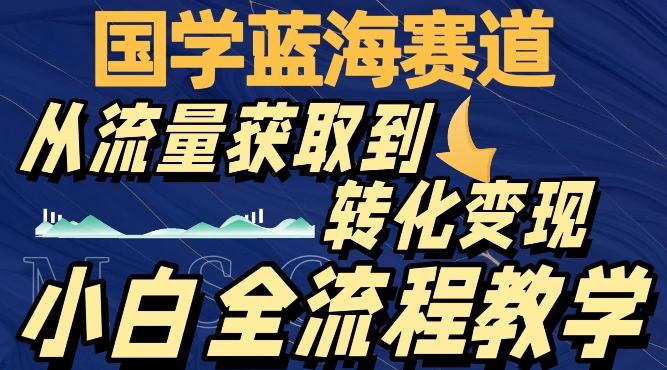国学蓝海赛道，从流量获取，到转化变现，全流程教学-星火轻创
