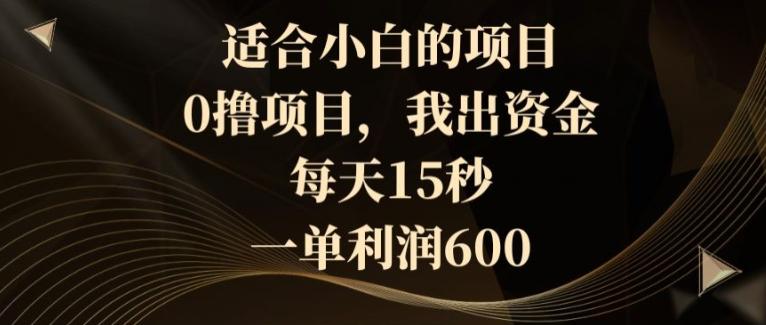 适合小白的项目，0撸项目，我出资金，每天15秒，一单利润600-星火轻创