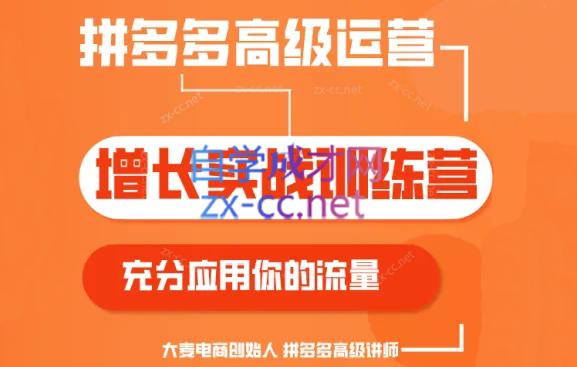 大麦老师·拼多多单品爆款打造课程(更新6月)-星火轻创