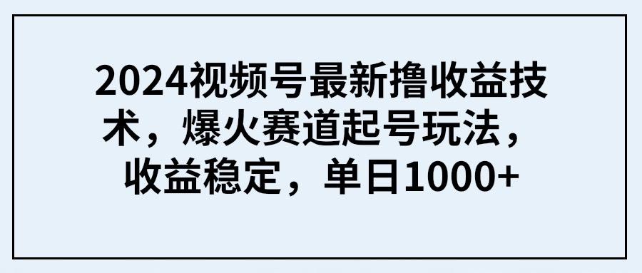 (9651期) 2024视频号最新撸收益技术，爆火赛道起号玩法，收益稳定，单日1000+-星火轻创
