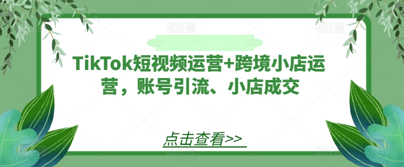 TikTok短视频运营+跨境小店运营，账号引流、小店成交-星火轻创