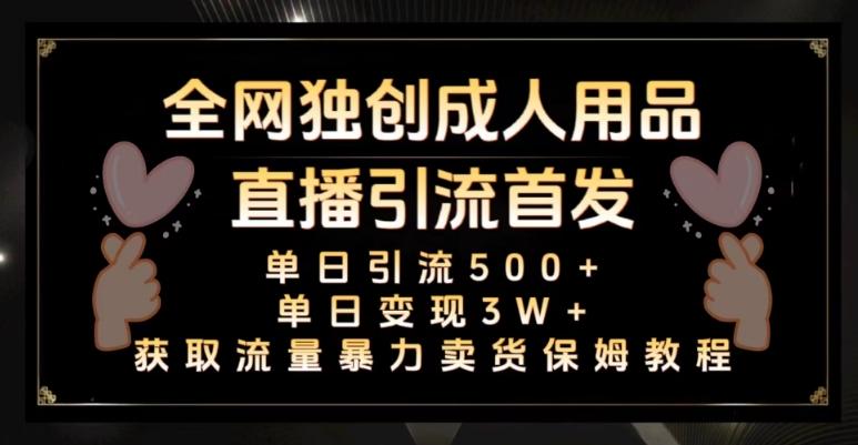 全网独创真人主播+无人直播单日引流500+，橙人用品暴力卖货单日变现3W+保姆似教学2.0【揭秘】-星火轻创