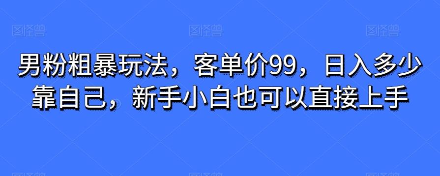 男粉粗暴玩法，客单价99，日入多少靠自己，新手小白也可以直接上手-星火轻创