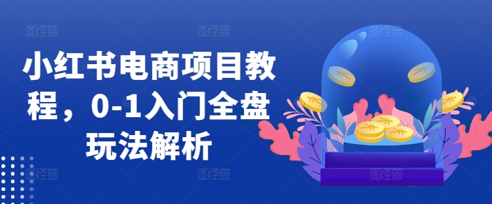 小红书电商项目教程，0-1入门全盘玩法解析-星火轻创