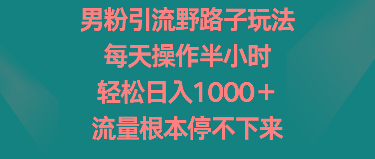 男粉引流野路子玩法,每天操作半小时轻松日入1000+,流量根本停不下来-星火轻创