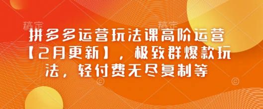 拼多多运营玩法课高阶运营【2月更新】，极致群爆款玩法，轻付费无尽复制等-星火轻创