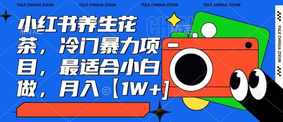 小红书养生花茶，冷门暴力项目，最适合小白做，月入【1W+】-星火轻创