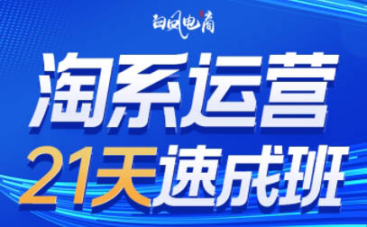 淘系运营21天速成班(更新9月)-小艾项目网