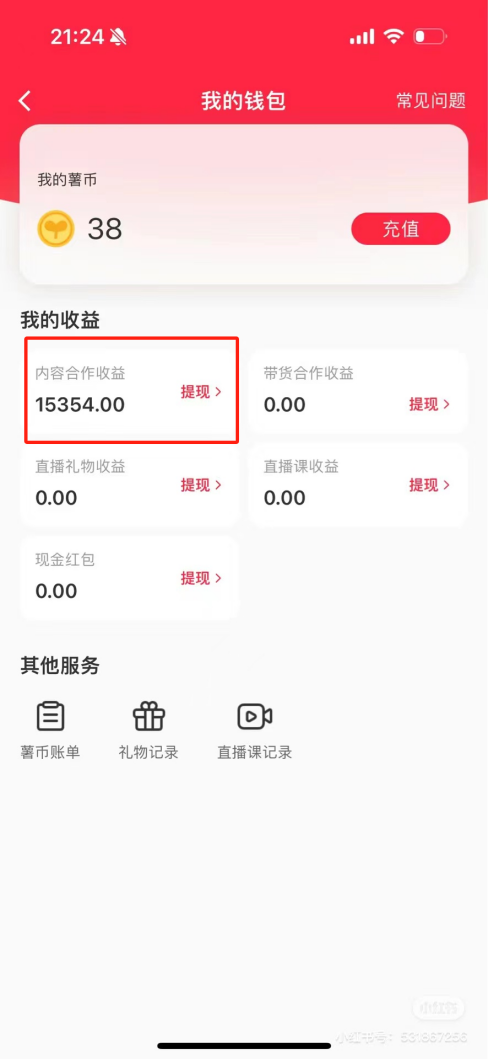 热门评论引爆小红书流量，作品制作简单，广告接到手软，月入过万不是梦-星火轻创