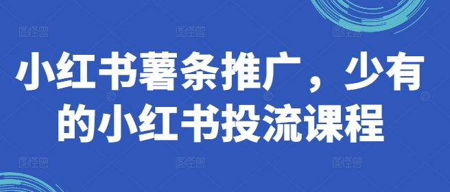 小红书薯条推广，少有的小红书投流课程-小艾项目网
