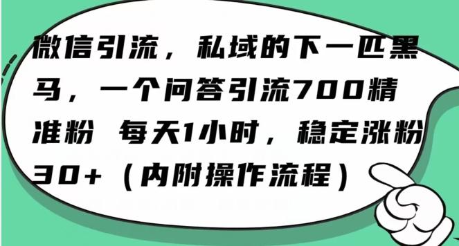 怎么搞精准创业粉？微信新赛道，每天一小时，利用Ai一个问答日引100精准粉-星火轻创