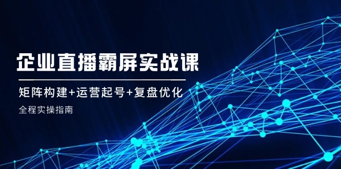 企业直播霸屏实战课：矩阵构建+运营起号+复盘优化，全程实操指南-星火轻创