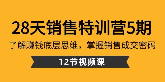 28天销售特训营5期：了解赚钱底层思维，掌握销售成交密码（12节课）-星火轻创