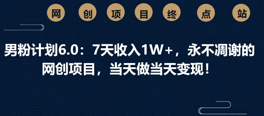 男粉计划6.0:7天收入1W+,永不凋谢的网创项目,当天做当天变现!-星火轻创