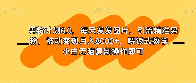 男粉计划6.0，每天发发图片，引流精准男粉，被动变现月入8000+，喂饭式教学，小白无脑复制操作即可-星火轻创