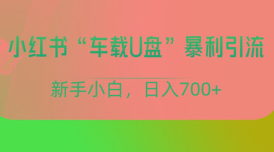 小红书“车载U盘”项目,暴利引流,新手小白轻松日入700+-星火轻创