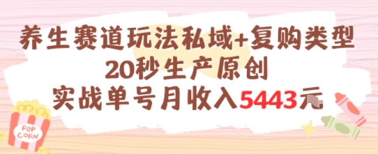 养生赛道玩法私域+复购类型，20秒生产原创实战单号月收入5k+-星火轻创