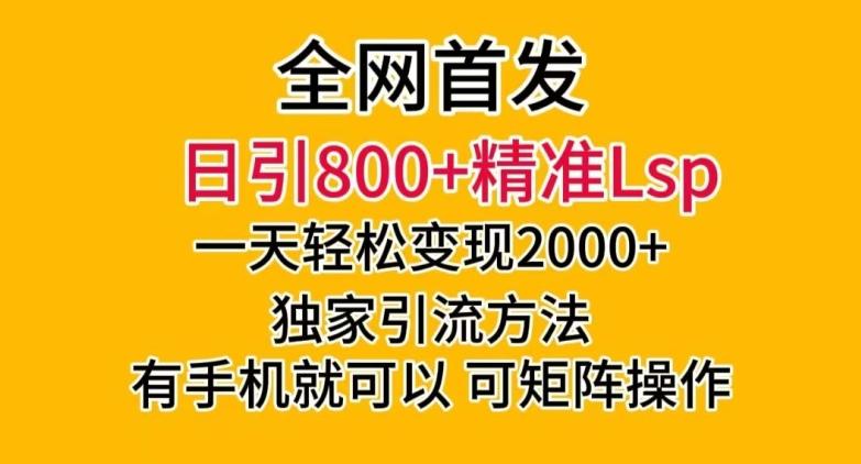 全网首发！日引800+精准老色批，一天变现2000+，独家引流方法，可矩阵操作【揭秘】-星火轻创