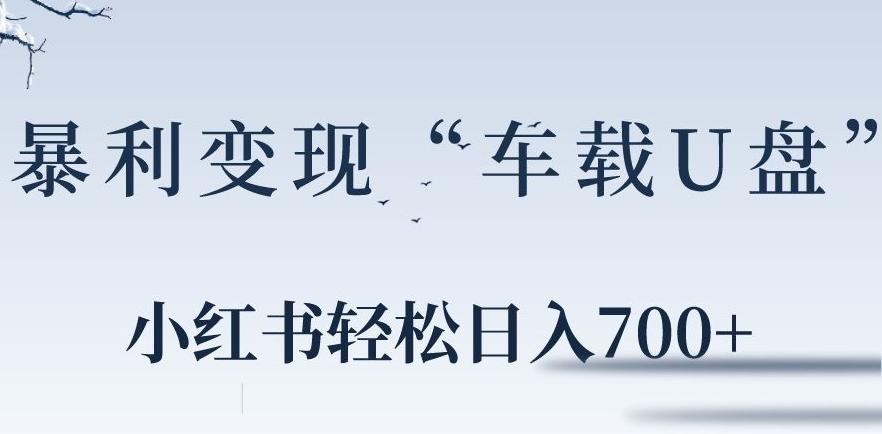 小红书“车载U盘”暴利引流，日入700+-星火轻创