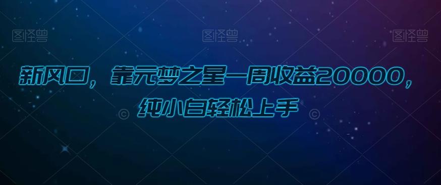 新风口，靠元梦之星一周收益20000，纯小白轻松上手-星火轻创