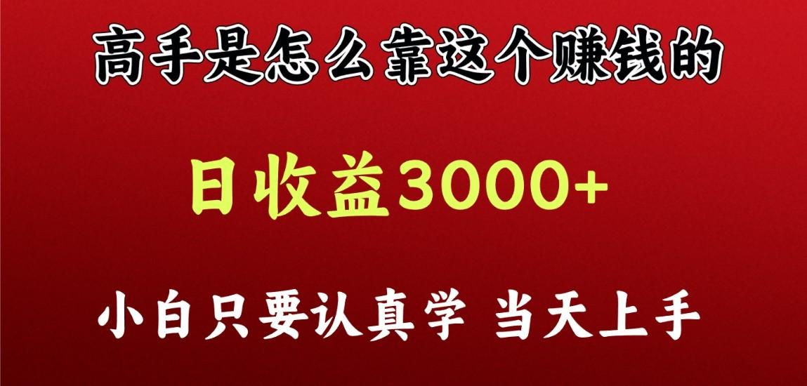 看高手是怎么赚钱的，一天收益至少3000+以上，小白当天上手-星火轻创