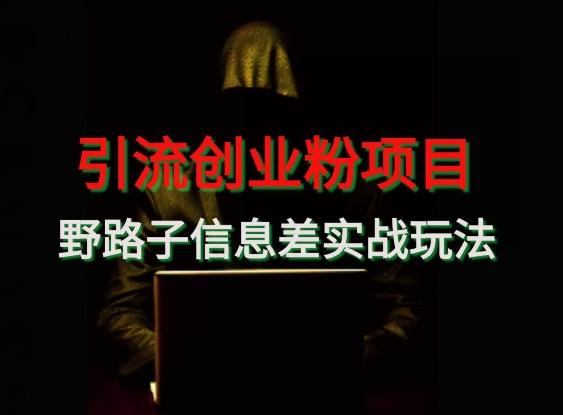 【引流创业粉】野路子信息差玩法实战教学-星火轻创