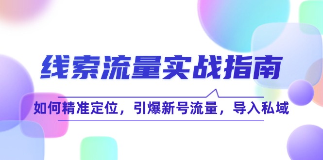 线 索 流 量-实战指南：如何精准定位，引爆新号流量，导入私域-星火轻创