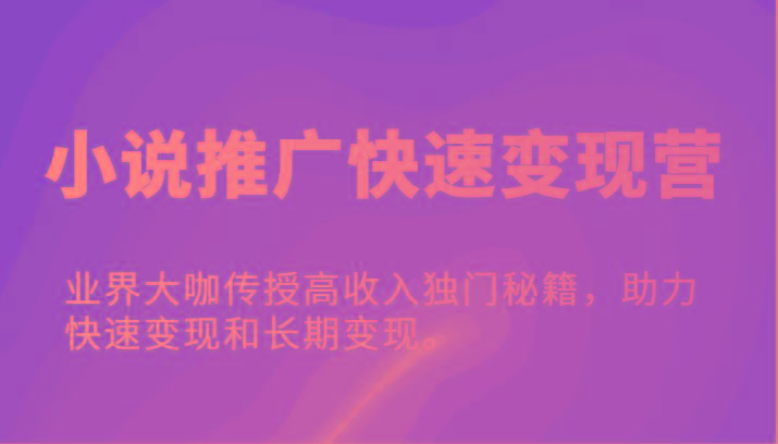 小说推广快速变现营-业界大咖传授高收入独门秘籍，助力快速变现和长期变现。-星火轻创