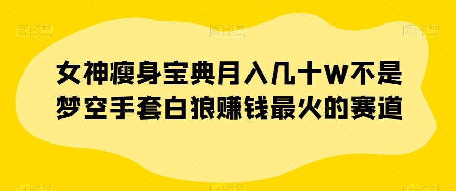 女神瘦身宝典月入几十W不是梦空手套白狼赚钱最火的赛道【揭秘】-星火轻创