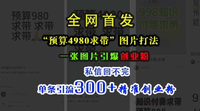 小红书“预算4980带我飞”图片打法，一张图片引爆创业粉，私信回不完，单条引流300+精准创业粉-星火轻创