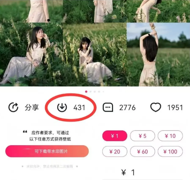 最新图虫搬运项目,收益无上限,利用AI小白也可日赚500+-星火轻创