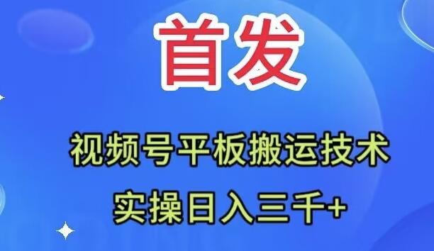 全网首发：视频号平板搬运技术，实操日入三千＋-星火轻创