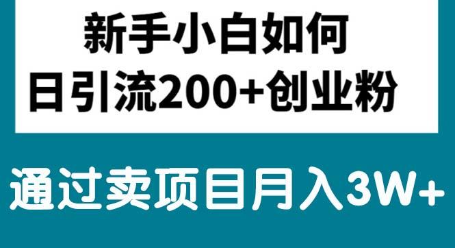 新手小白日引流200+创业粉,通过卖项目月入3W+-星火轻创