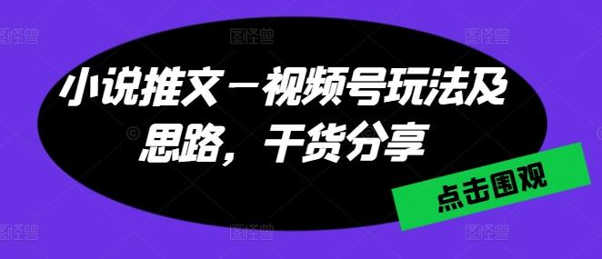 小说推文—视频号玩法及思路，干货分享-星火轻创