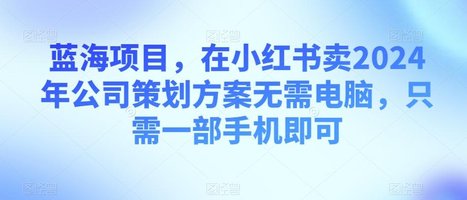 蓝海项目，在小红书卖2024年公司策划方案无需电脑，只需一部手机即可-星火轻创